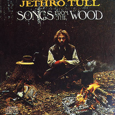 Songs From The Wood